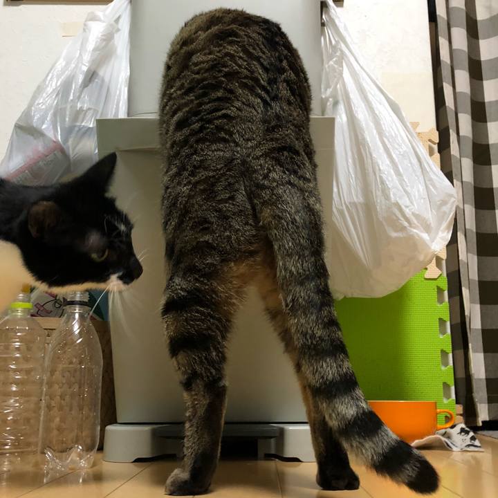 24e0b3ad 826f 4474 b57b 8d7d4db2b1bf 1548968826628