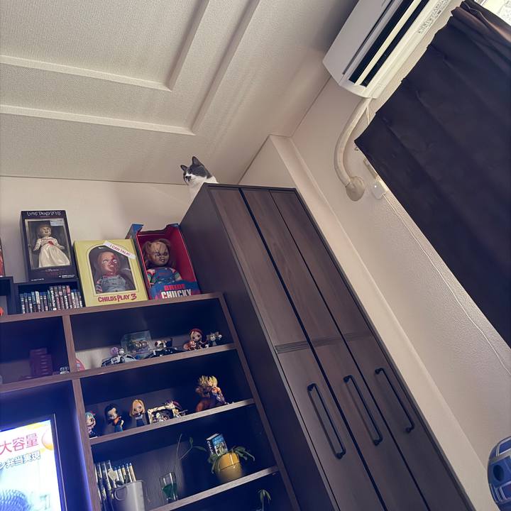 24e0bf1b ffbb 42cc b150 9c0a5c03db9e 1759996765451