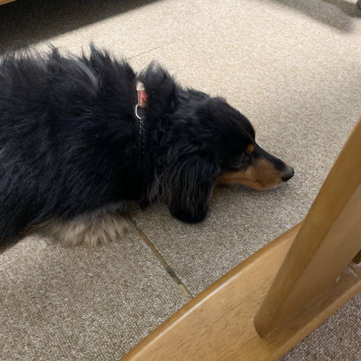 24e0ed69 6aed 49c4 aff6 3845ec15e644 1570744969314