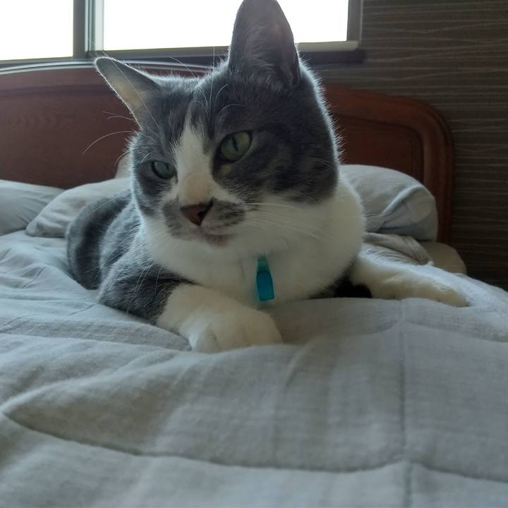 24e136bd 894d 410f a6e8 8e703255b362 1647657368842