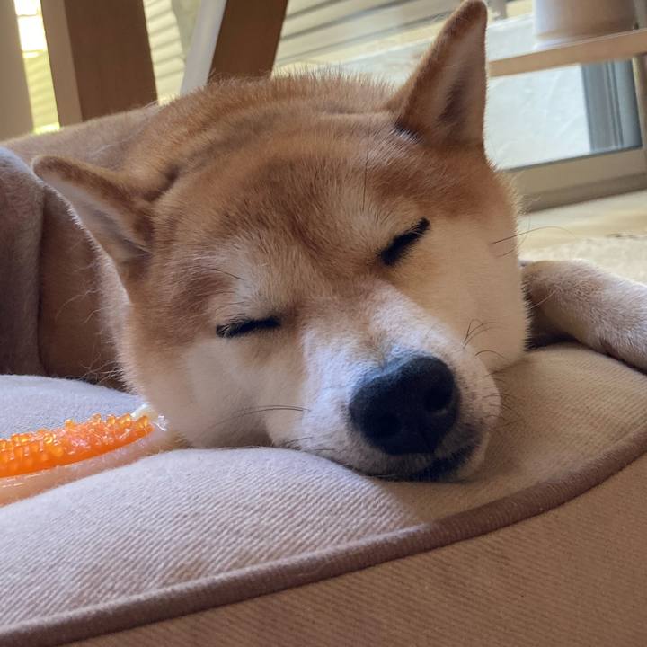 24e13f13 f2c2 415b 9771 cf802b349c44 1717423878746