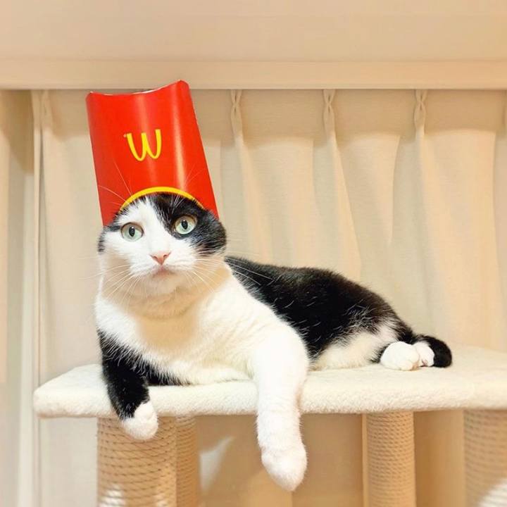 24e16233 c422 4535 9c05 3c8a1e040047 1574554850164