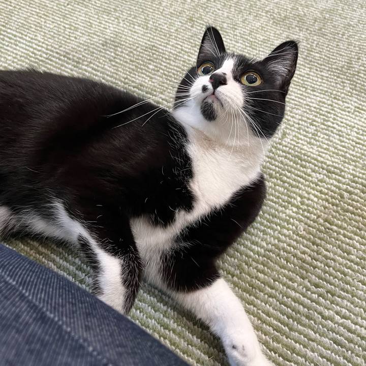 24e1d55b 2af6 4ce8 b3e1 5741ddaf8474 1710897562174