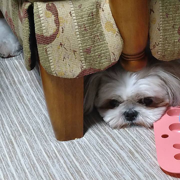 24e1dc4e e925 4da9 8cbd 37c2e7f5836b 1631966699264