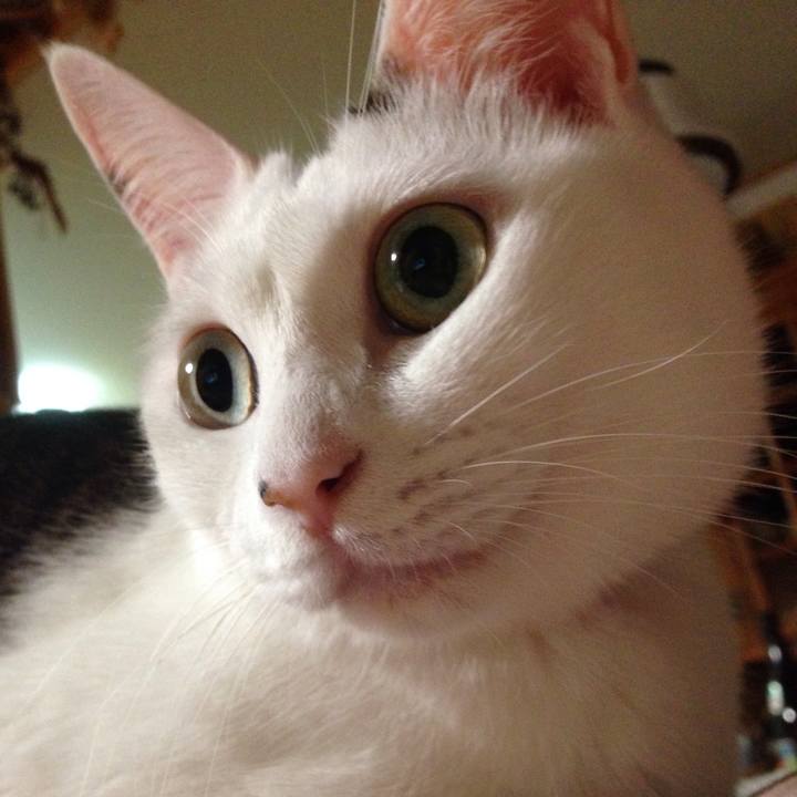 24e20975 fe97 4656 95de 7a57465408c0 1510058797576