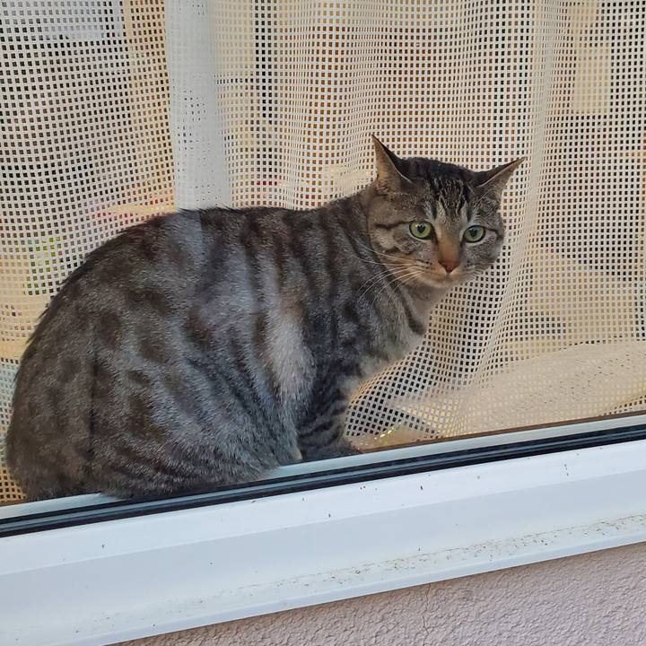 24e21b93 91d0 4015 af9b abd19e9cf19e 1702470592239