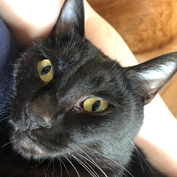 24e24aa6 ef39 4cc6 a0d3 7fe5a3483d1b 1669416426556