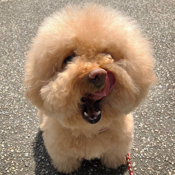 24e26a9e b7e0 413d 9a9f de4d23b5936f 1526088718975