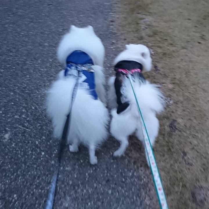 24e27020 9b52 4935 9e9c 707b72ca3284 1575881586147