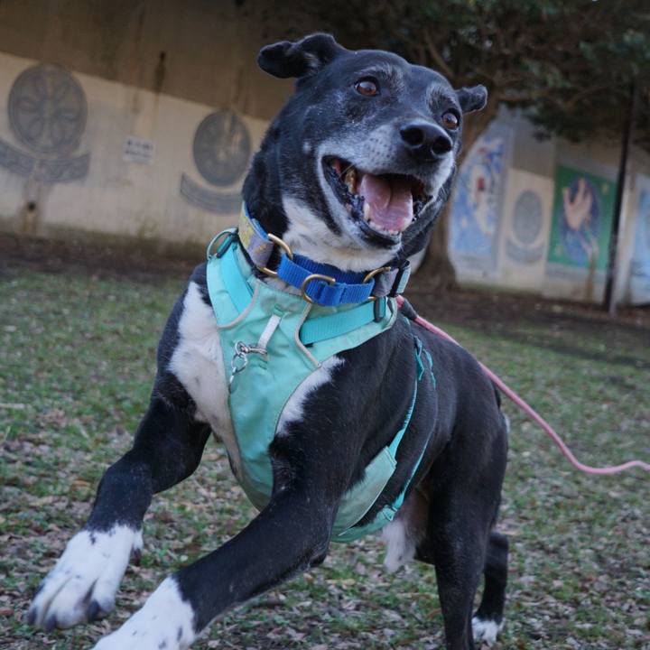 24e2948b 0fd3 465a a32c 5e1efeacba1f 1772670477332