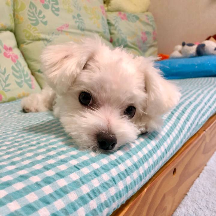 24e29ce9 b37b 4f84 a804 9d401aa8022e 1534040052660