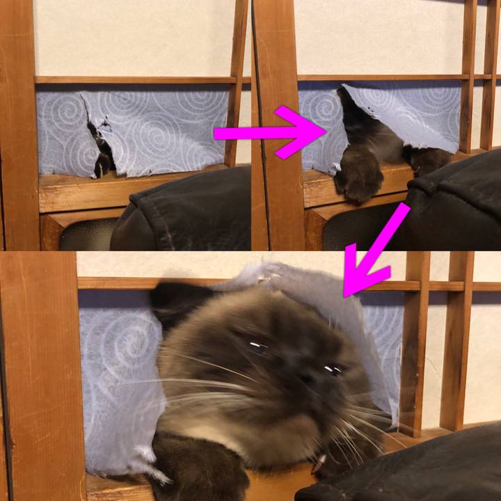 24e30ee1 db54 445c bf89 204e0a76a191 1608300160591