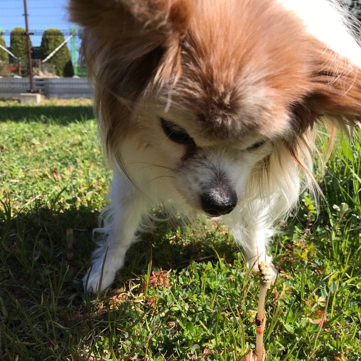 24e318f6 af72 444a 9557 e6c2a1c0319d 1520826636080