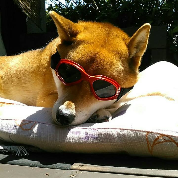 24e322cc 6197 4cc3 8ac5 9e931dff8b7f 1558487892669