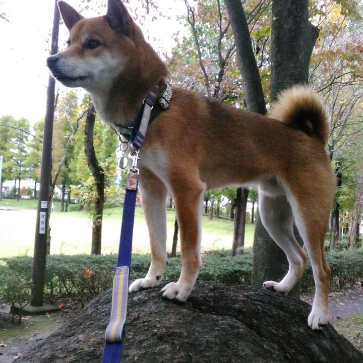 24e35351 bbd2 45fc abab 14dd1e29fb15 1508493286983