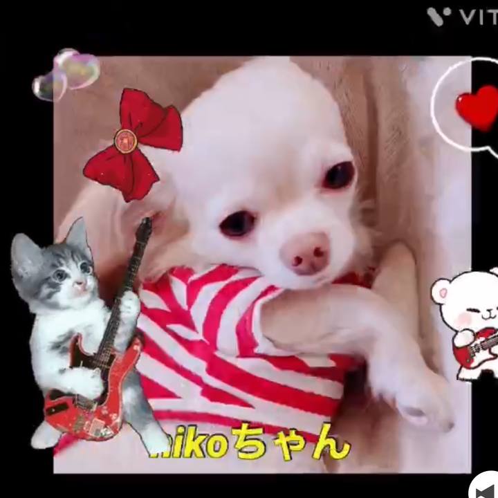 24e359d3 c160 4794 a562 705b6dd84377 1678098286705