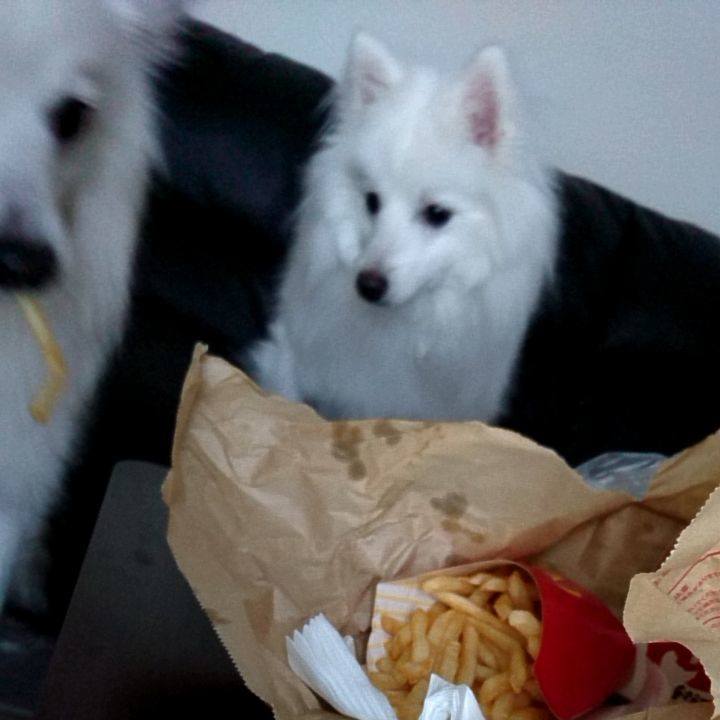 24e367bb 7365 47ce 8cc7 6d83cb388fcd 1580288850122