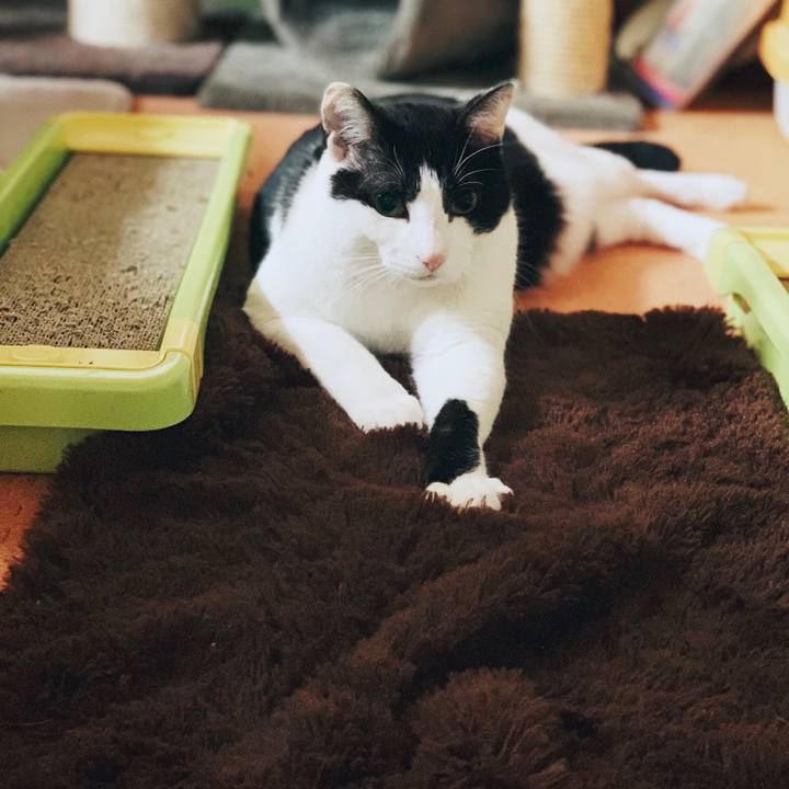 24e36a0f 7191 41a7 80d0 e26bcf57b470 1555813511513