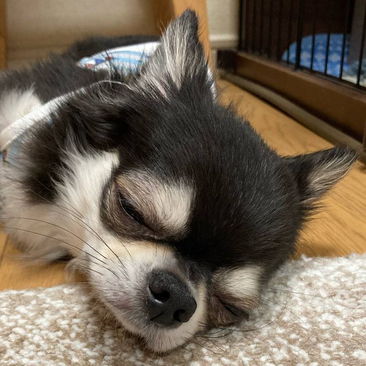 24e3e10d 6bd3 4d79 9f5f fb9faa8300a7 1686410095437