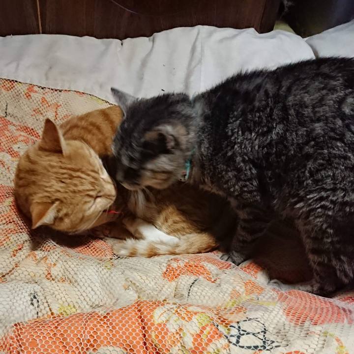 24e3e32a 7013 42ae b01a 59bb7de182aa 1605267748163