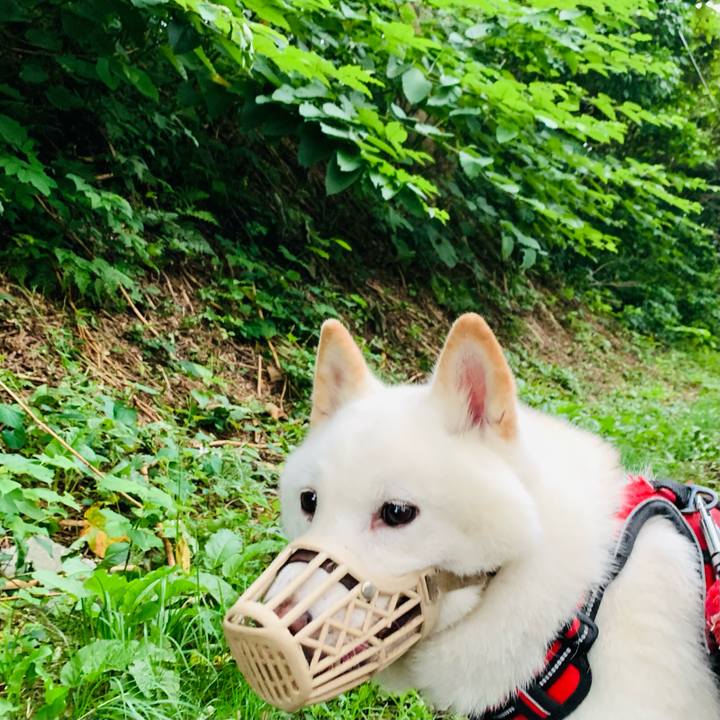 24e43ff3 19d4 4eeb 9cbe 1a196a693274 1659040558201