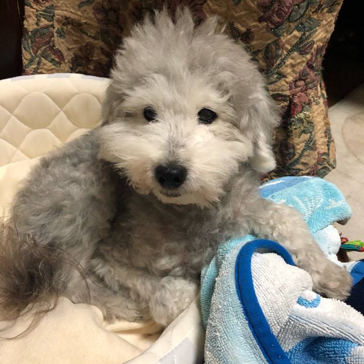 24e4435e 13f0 4765 8530 74e031d00f03 1625752588062