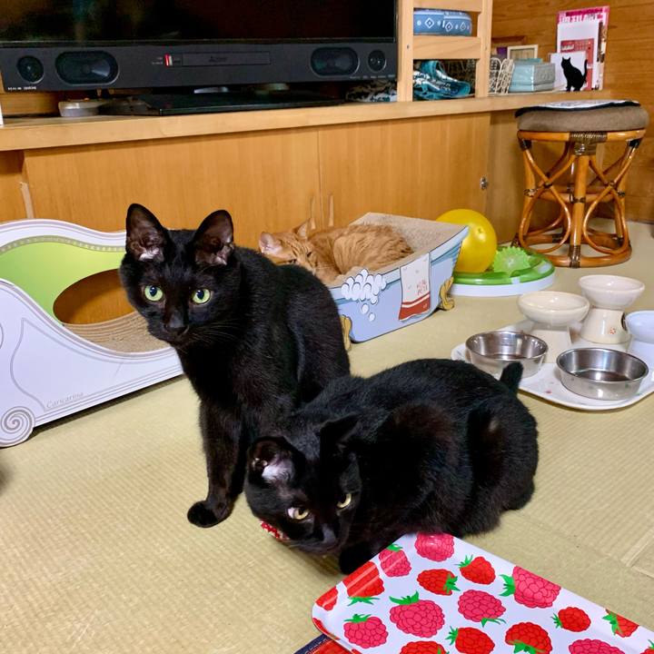 24e468cb 3072 4838 9634 bd5a4b9a9dd5 1625731756155