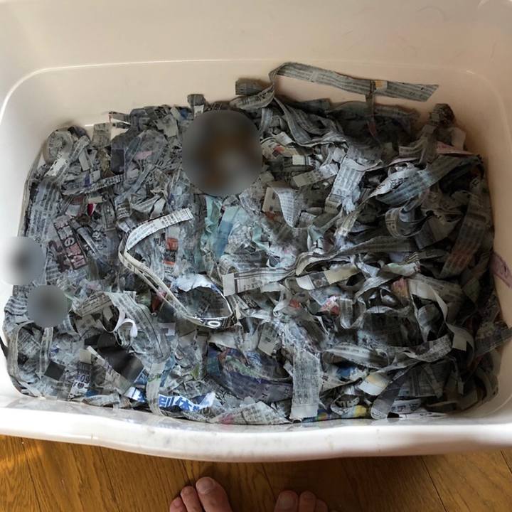 24e4b5b3 bbb5 4d78 8acf 8ee831986633 1588380477192