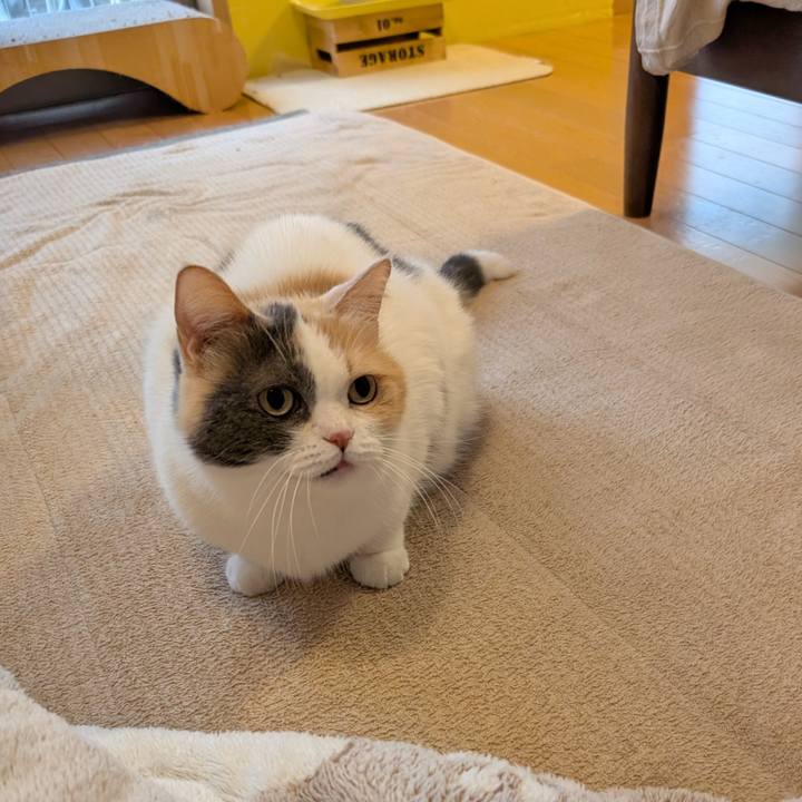 24e4e558 22d6 41e9 aea7 77e22c4e5d82 1763514260776