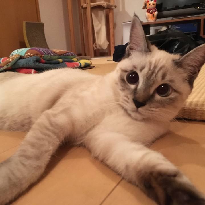 24e50e77 9f86 4790 9cc4 c3b08b5b8c99 1541423869678