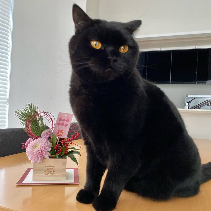 24e51f08 8675 4344 a8ef 48eba660b0a4 1609460240697