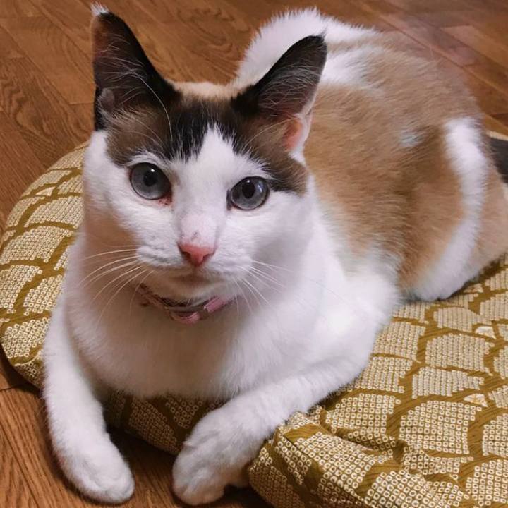 24e52ec5 f838 4cbc 9d81 ddc328baee22 1685138491513