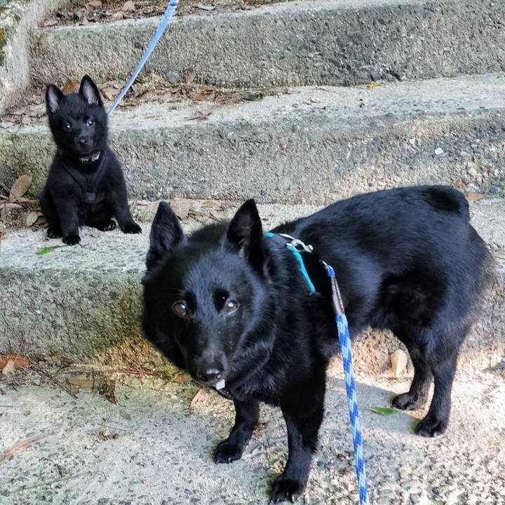 24e55488 87f5 42a6 ac77 4e19efff53b1 1748384492352