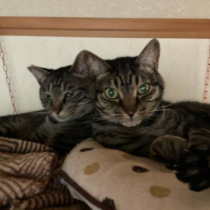 24e57374 96df 4f44 aa55 1e9b7d89b37e 1654844249725