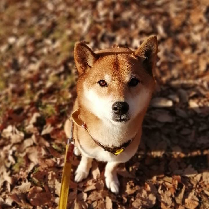 24e59fff 6287 4154 932b 28d3c0cfb1f7 1610606396265