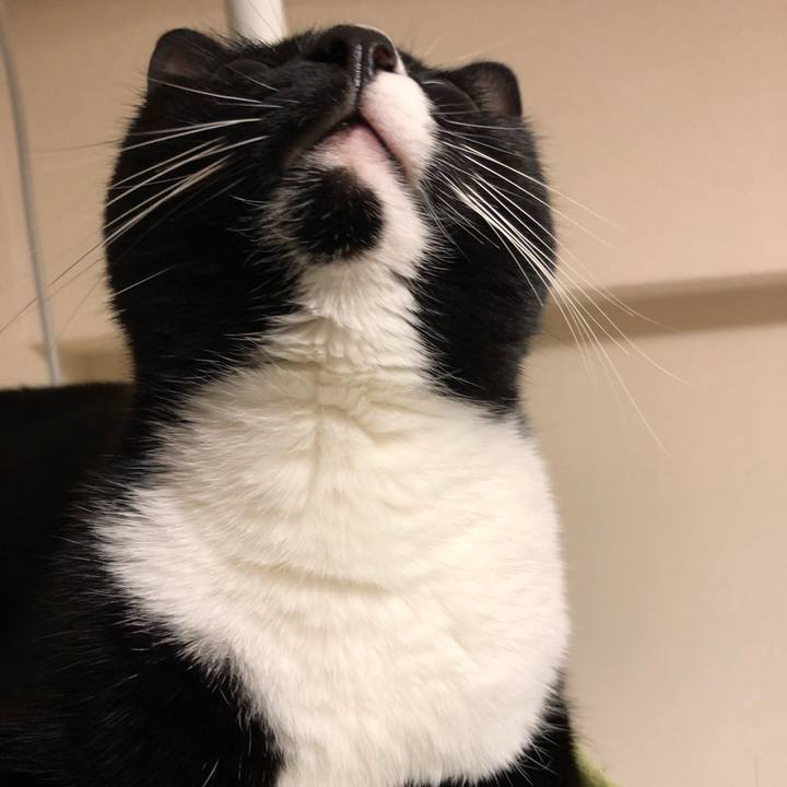 24e5f724 f211 4309 9af7 eac22ddd1d6d 1512425926127