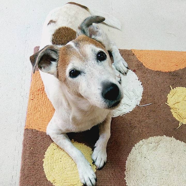 24e61312 f84a 4554 a84c b8bb20dd9ef7 1584577048985