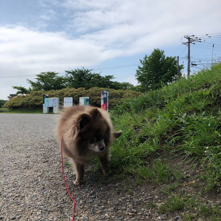 24e62c63 13aa 4145 bbe7 6185fb58d30e 1623203936480