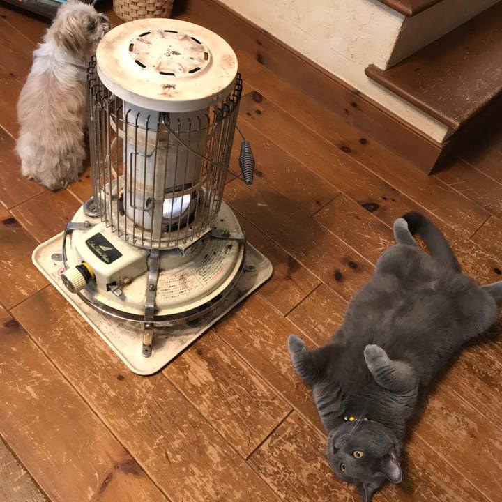 24e6306b 4d4a 4324 a914 c798e0d0fd01 1511137286563