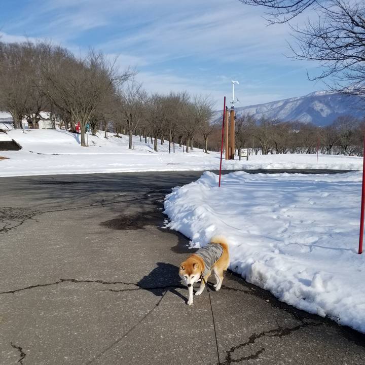 24e6359e c3d8 4c42 9e0d a2bc5a7fb009 1640319327863