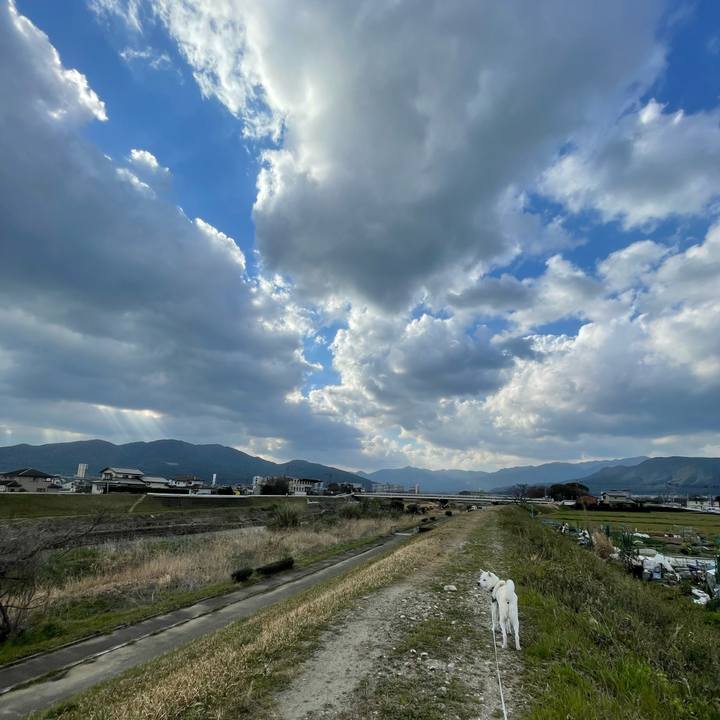 24e63db8 1e74 45fb b279 b077117d05bc 1710891251172