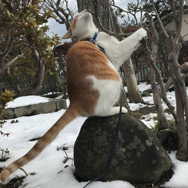 24e64fa9 02ff 46f0 893f c538ae996043 1518596932385