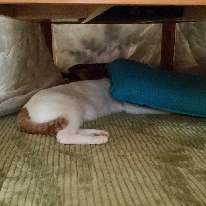 24e67235 5e7e 465f a587 7ac49fdabd7a 1554525858602