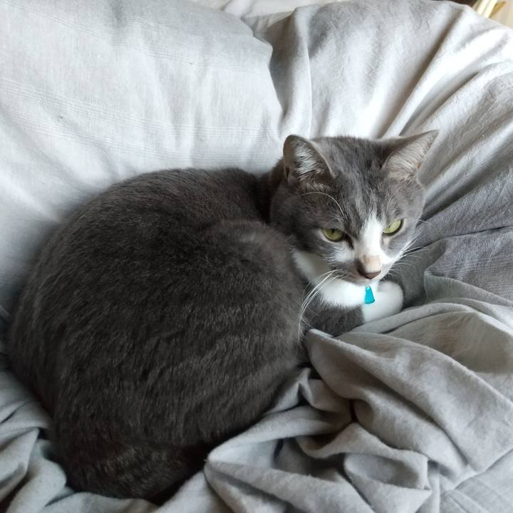 24e67240 be63 4511 8d76 3868d57763a8 1637367109409