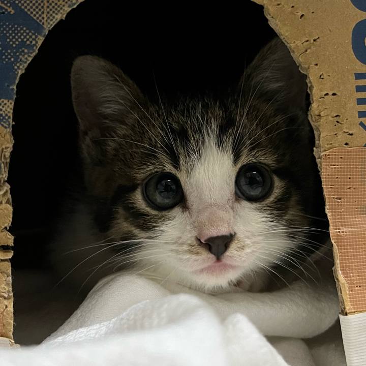 24e6b41a 0ee3 4981 88ca af1670b2a3c0 1765230727644