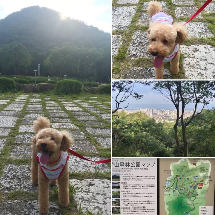 24e6c502 1248 405a bd5a f27a7b105966 1597589879705