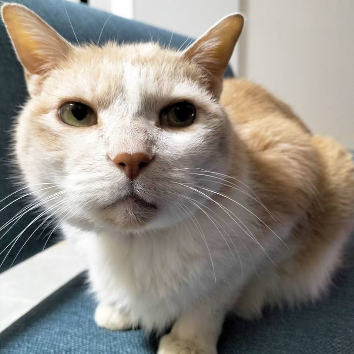 24e70979 b447 4a74 9763 f23ccc30bbed 1705702644786