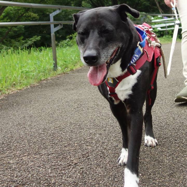 24e7534a 0e28 44c4 a7b5 3e892373d94f 1686360381987