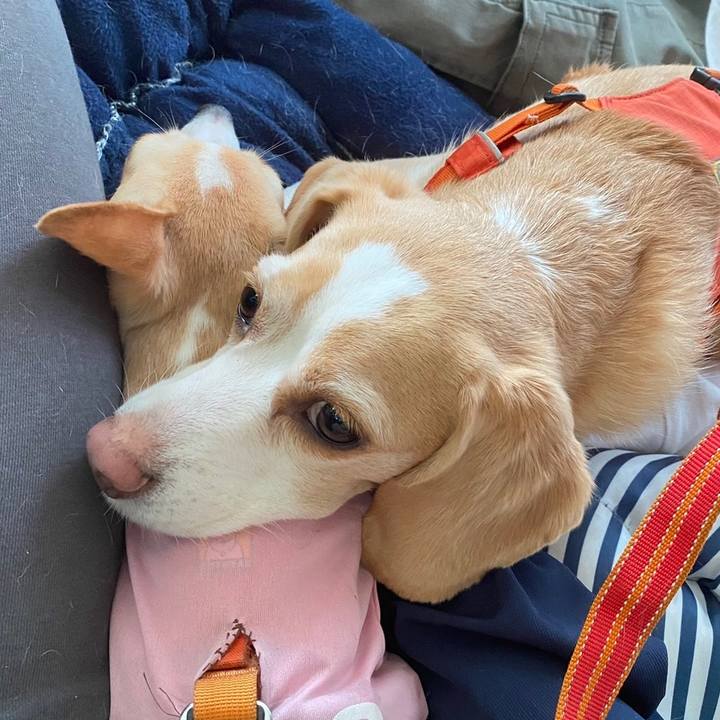 24e75a8c 8506 49f1 96aa 06c6ff0fdd81 1683773440922