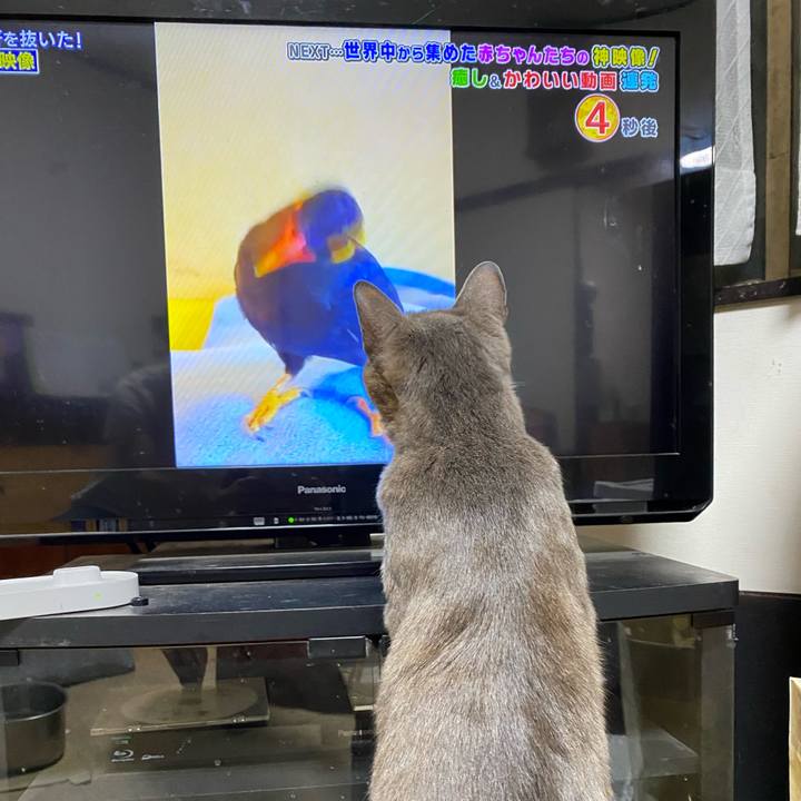 24e75c89 13bf 44d1 a2ac 7cbb495307e3 1590676019160